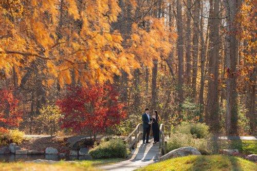 mobile - carousel-hero-element image-3