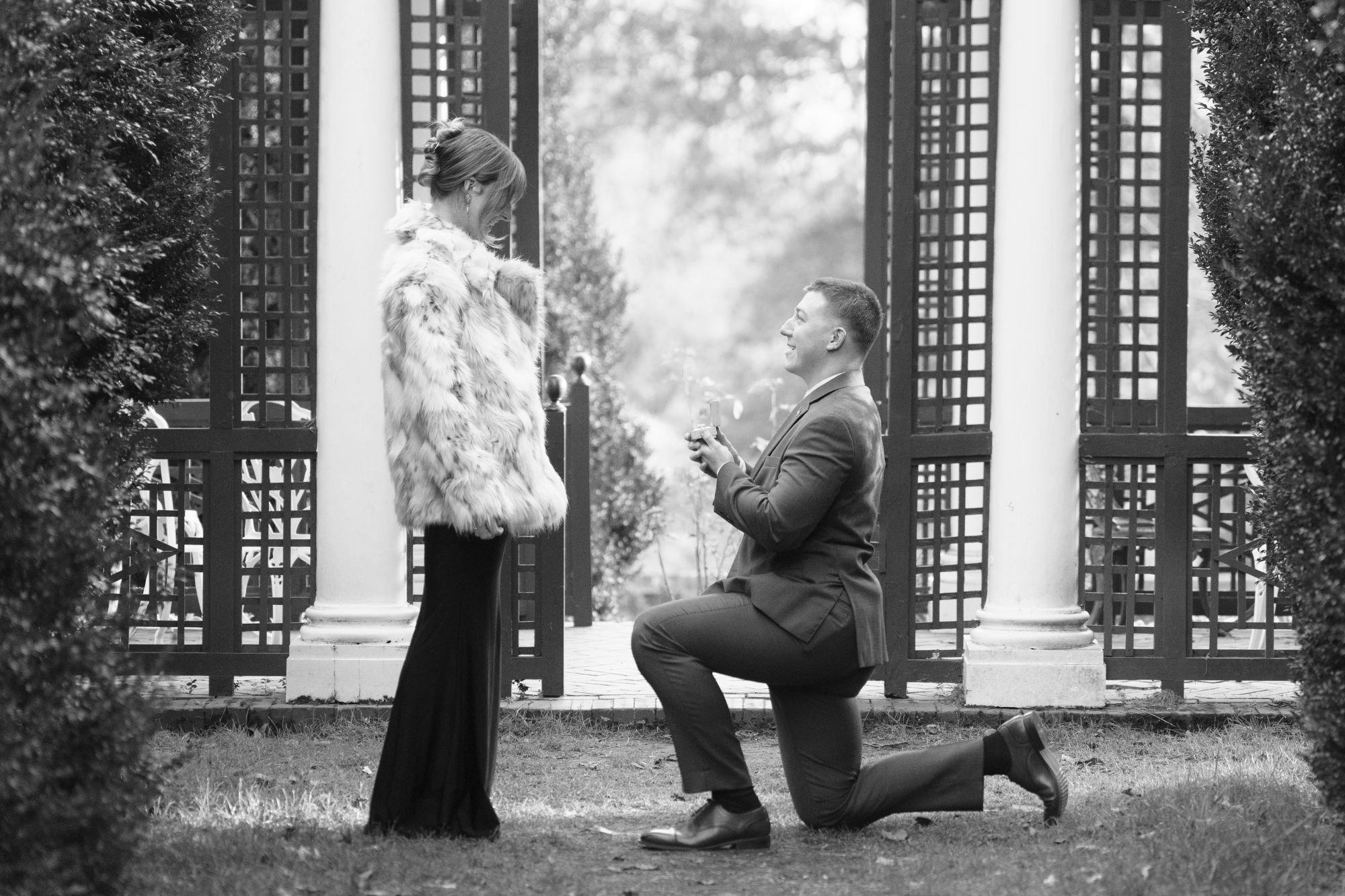 carousel-hero-element image-2