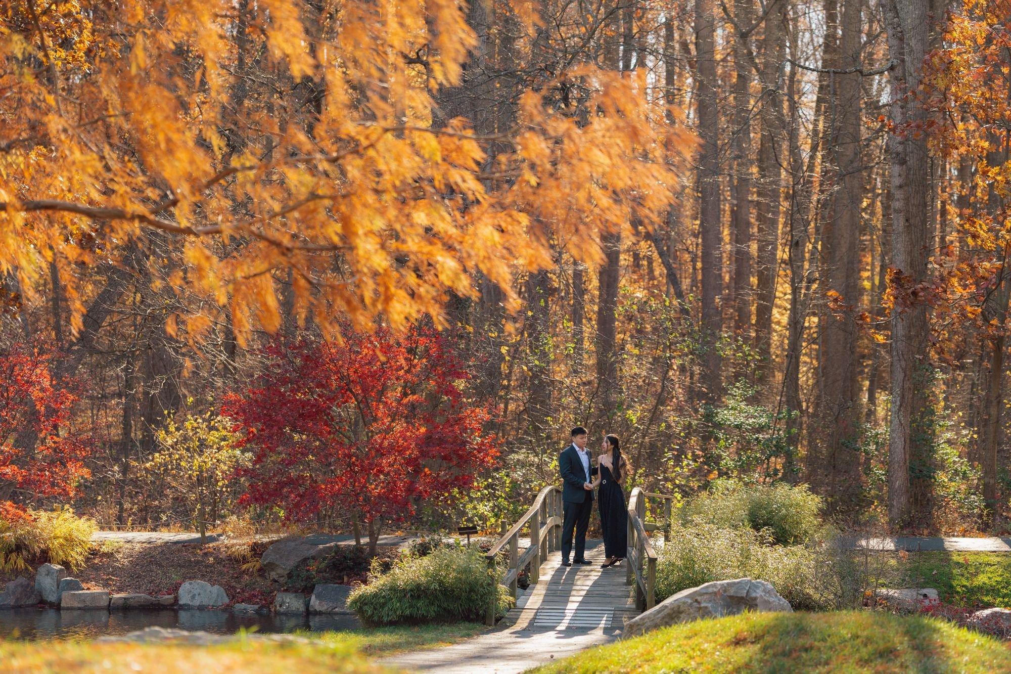 carousel-hero-element image-3