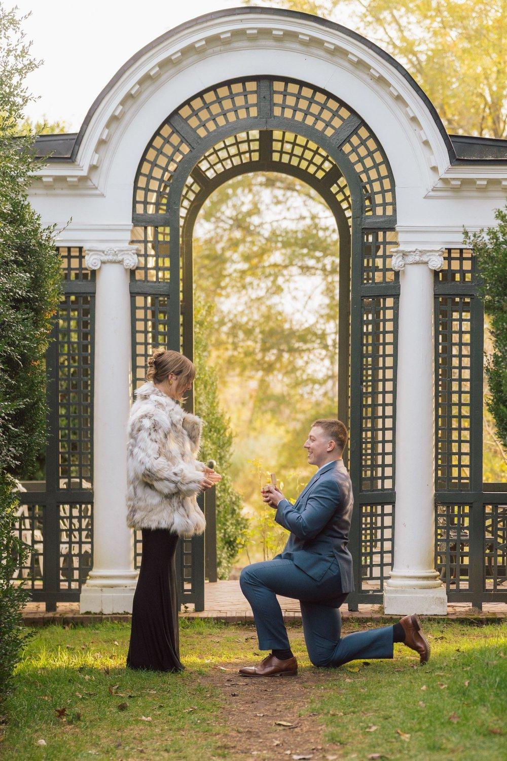 carousel-hero-element image-1