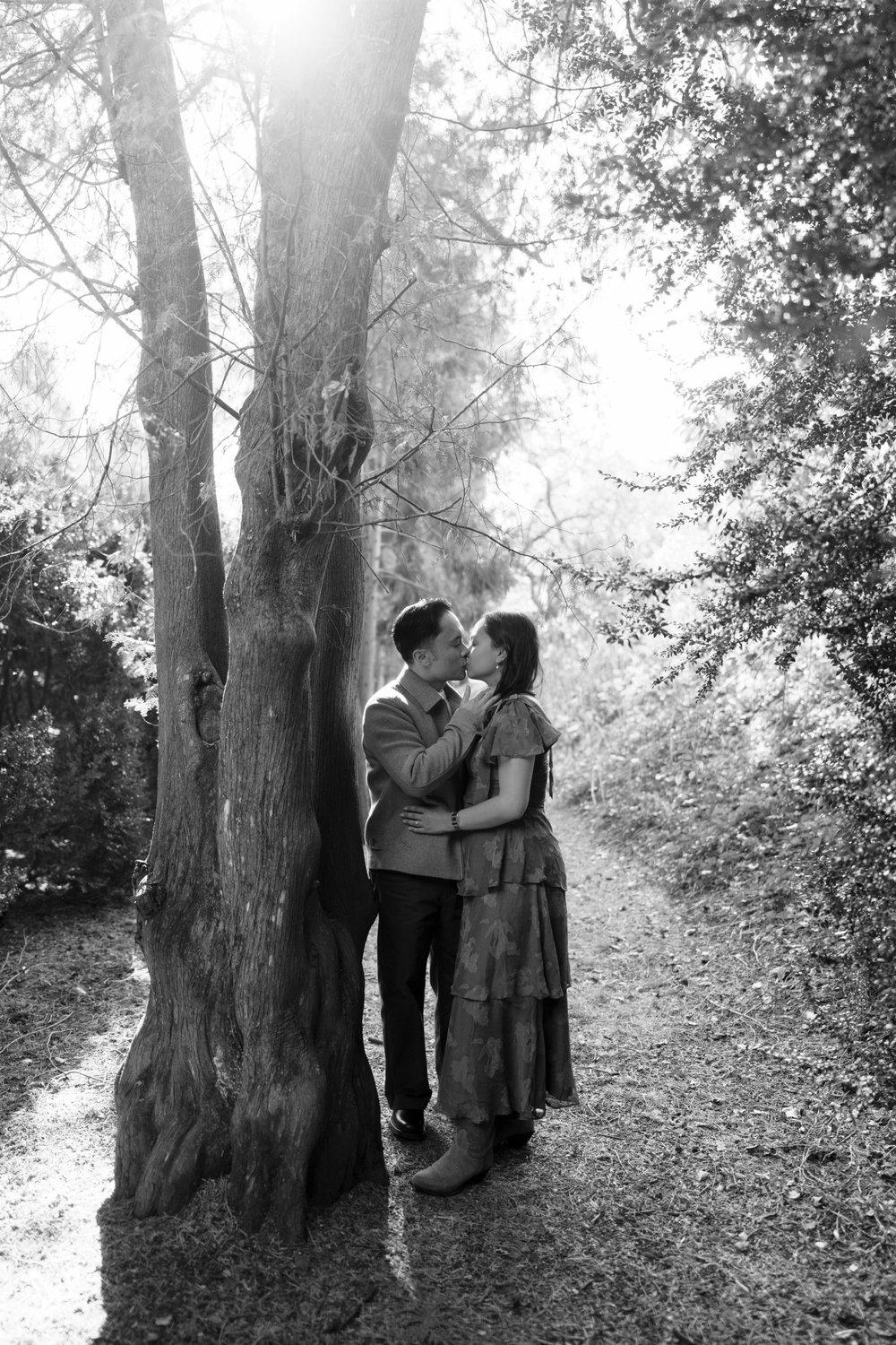 carousel-hero-element image-5